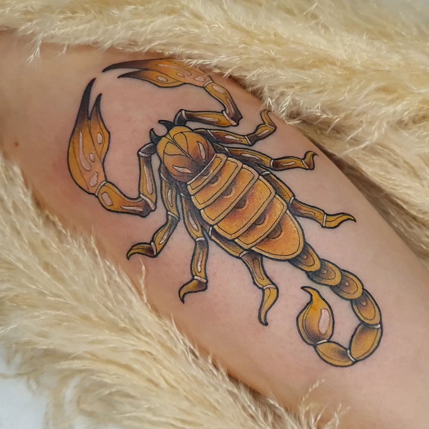 Scorpion Tattoo Ideas 11