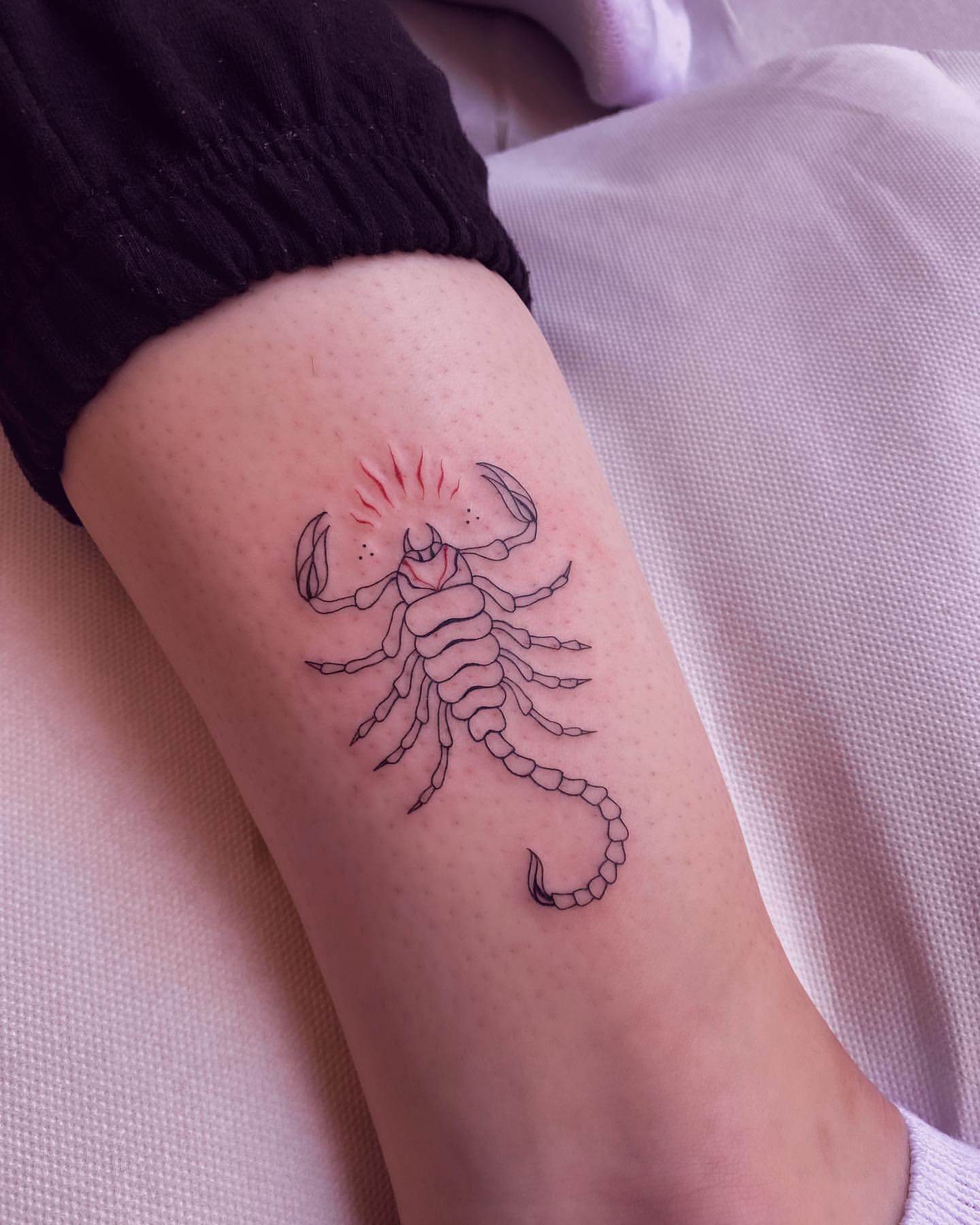 Scorpion Tattoo Ideas 12