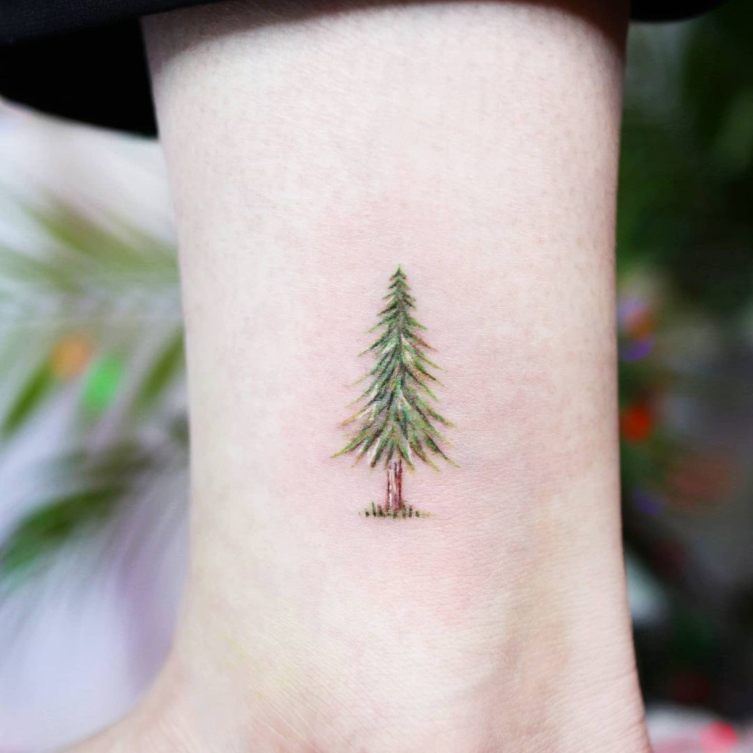 Pine Tree Tattoo Ideas 3