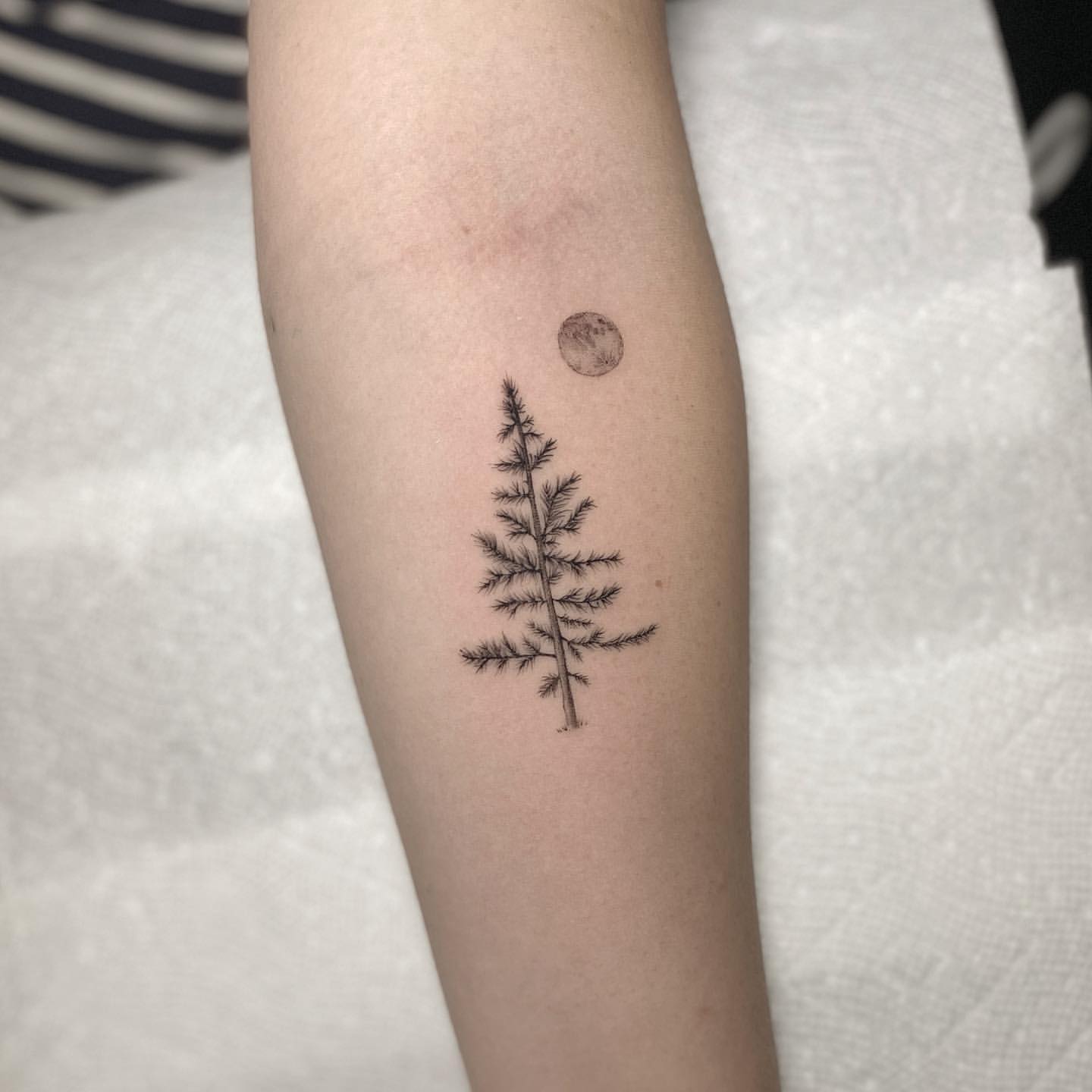 Pine Tree Tattoo Ideas 9