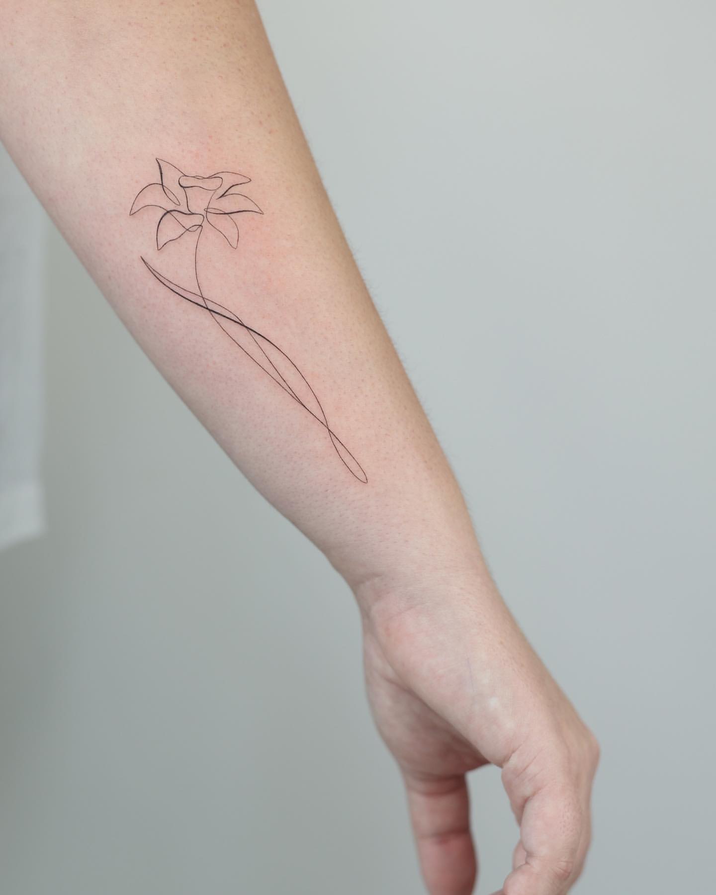 Daffodil Tattoo Ideas 15