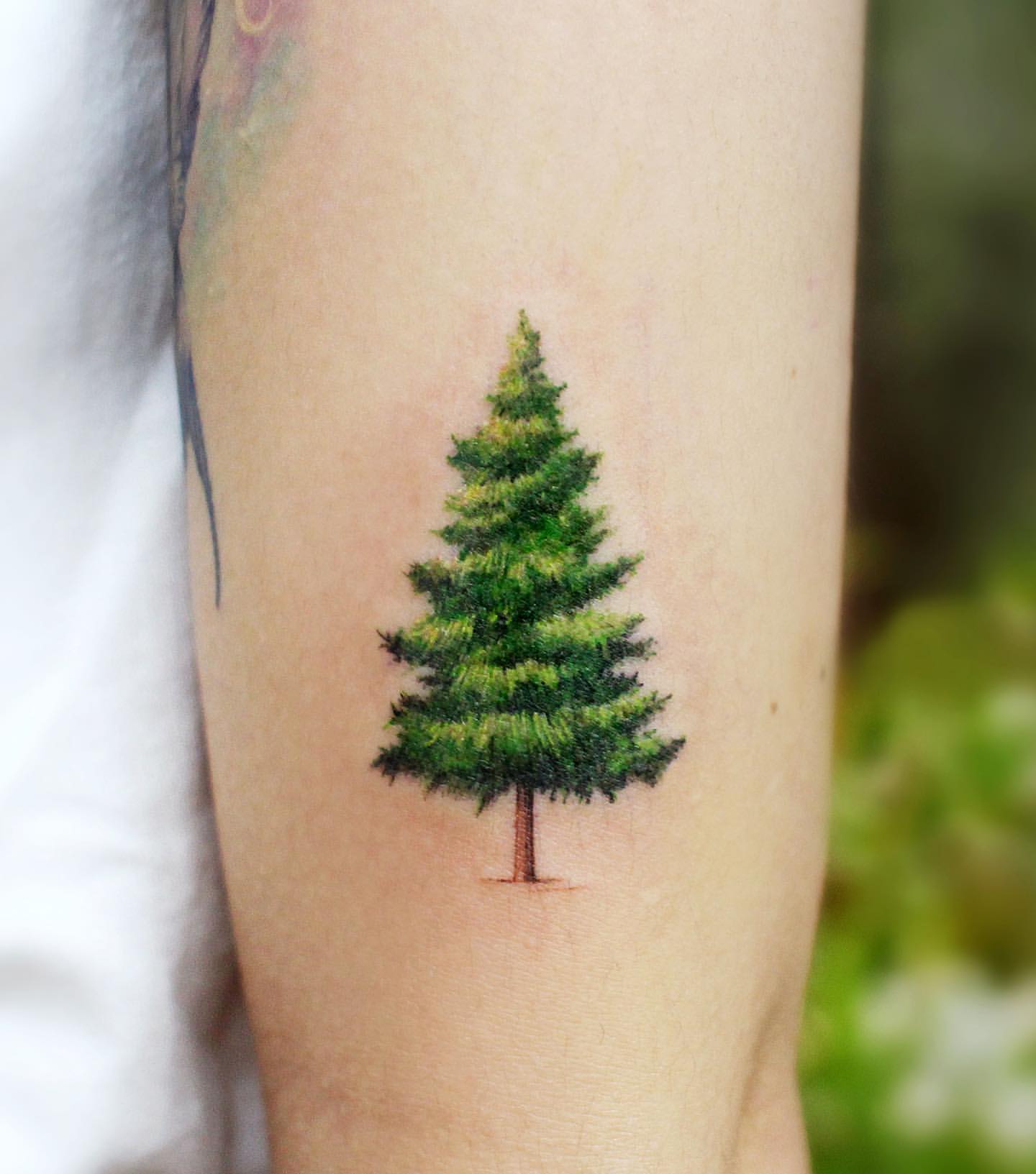 Pine Tree Tattoo Ideas 12