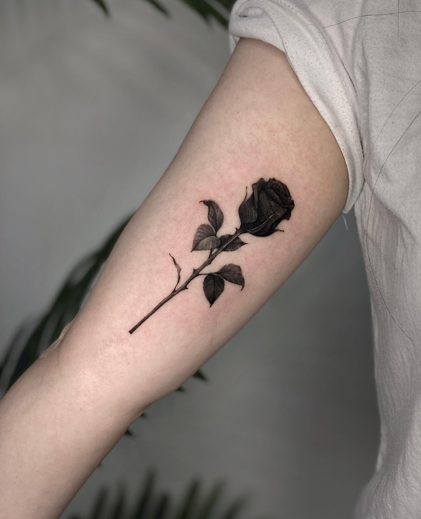 Black Rose Tattoo Ideas 8