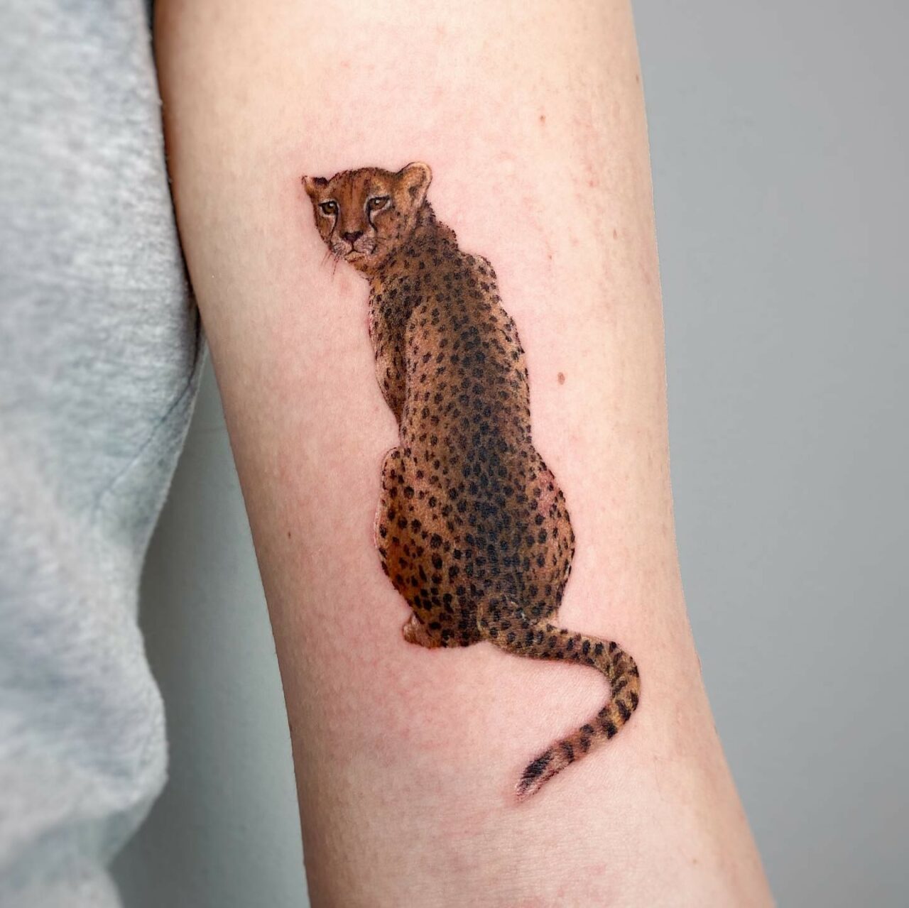 30 Daring Cheetah Tattoo Ideas for Men & Women in 2024