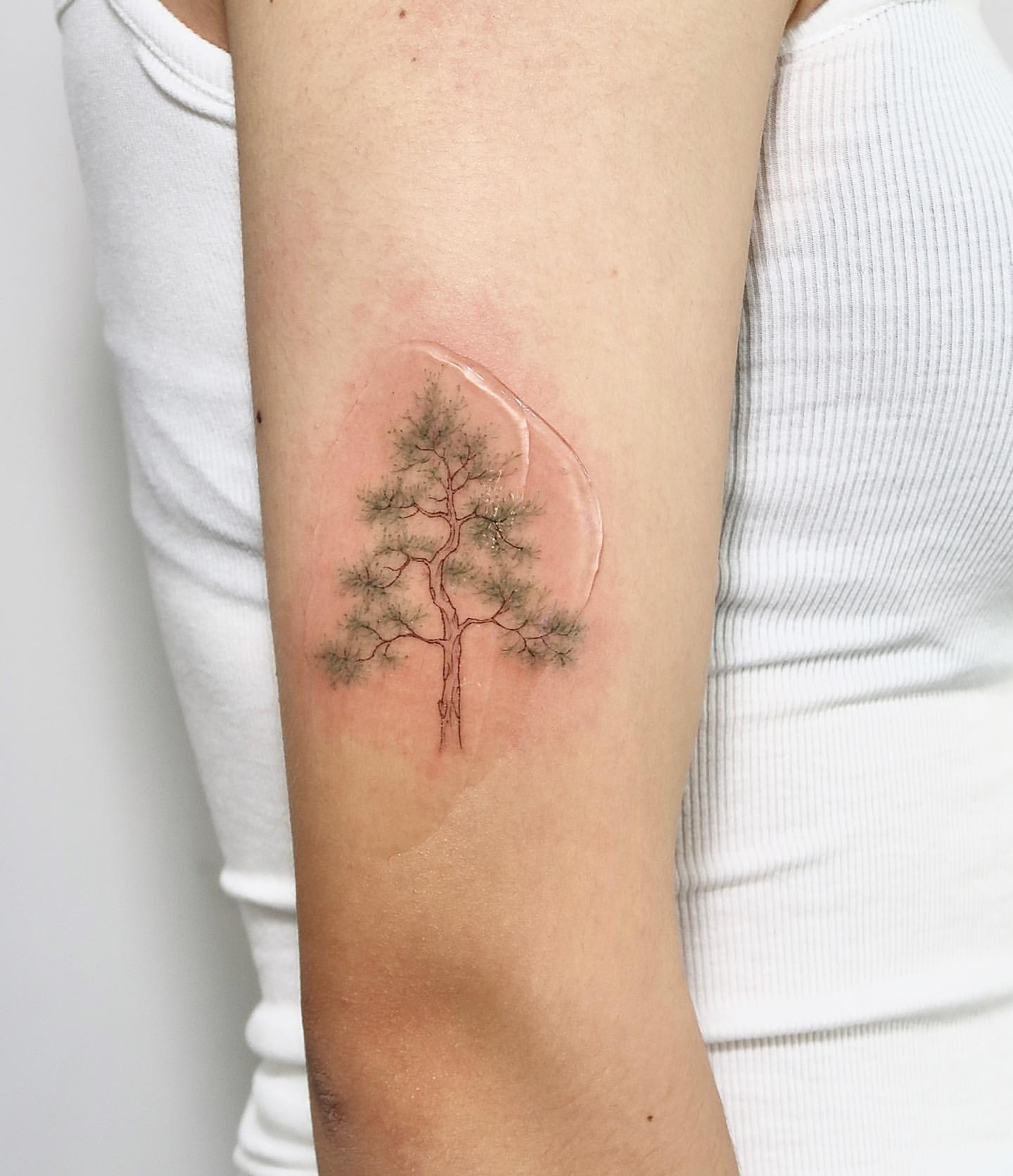Pine Tree Tattoo Ideas 18