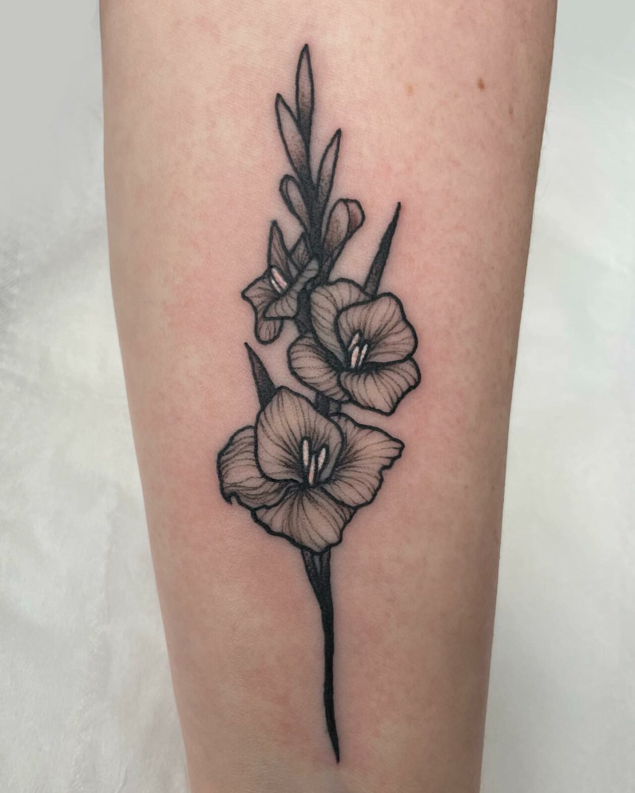 25 Incredible Gladiolus Tattoo Ideas to Inspire You in 2024