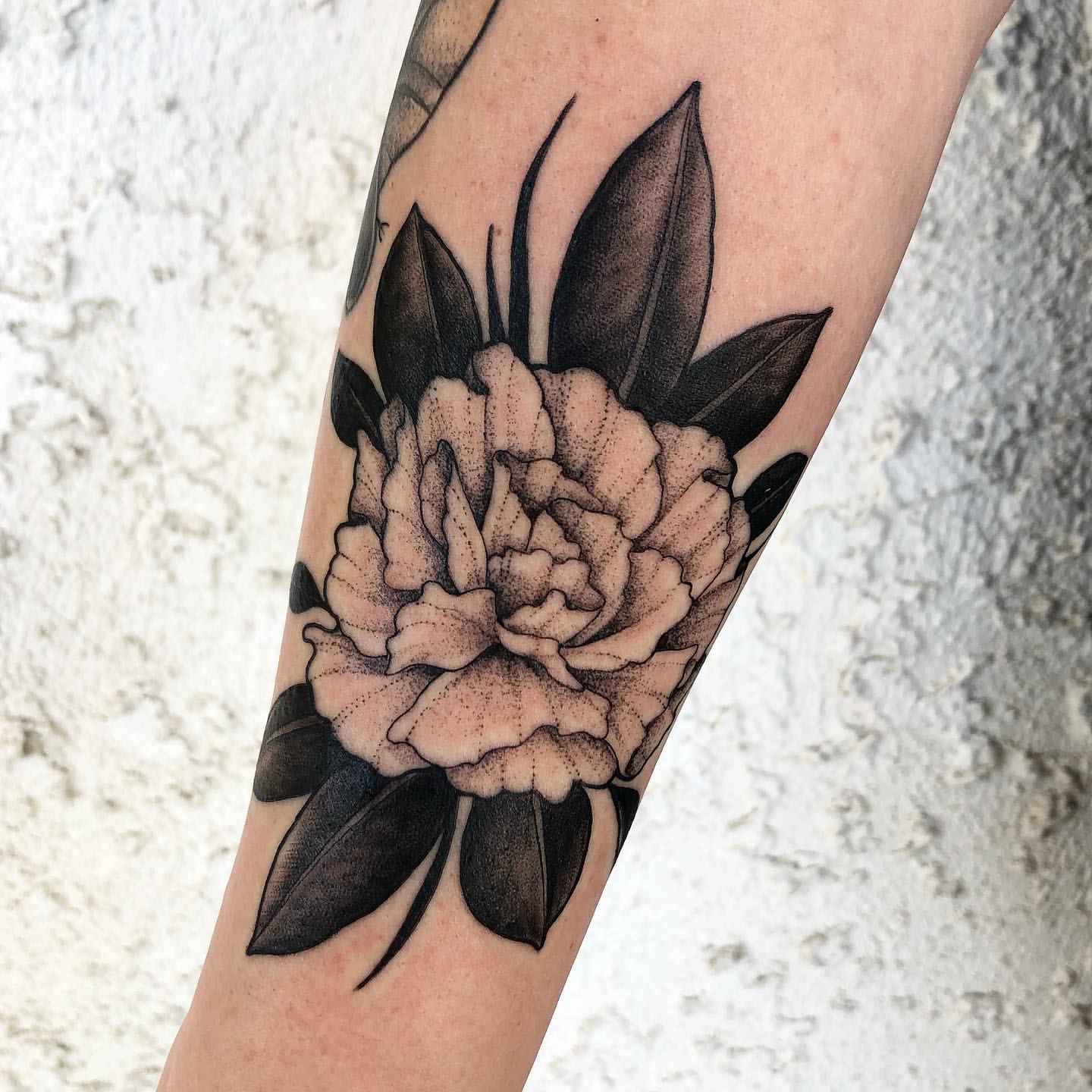 Magnolia Tattoo Ideas 40