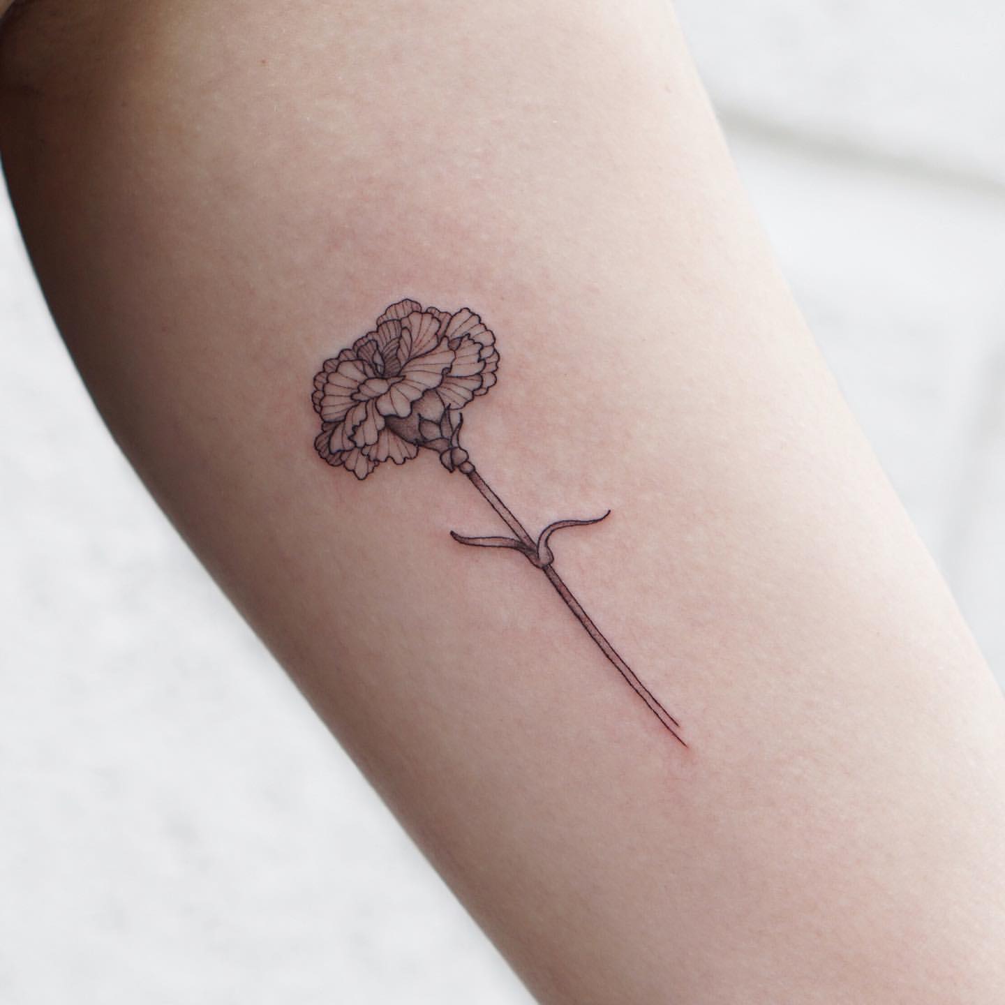 Carnation Tattoo Ideas 12