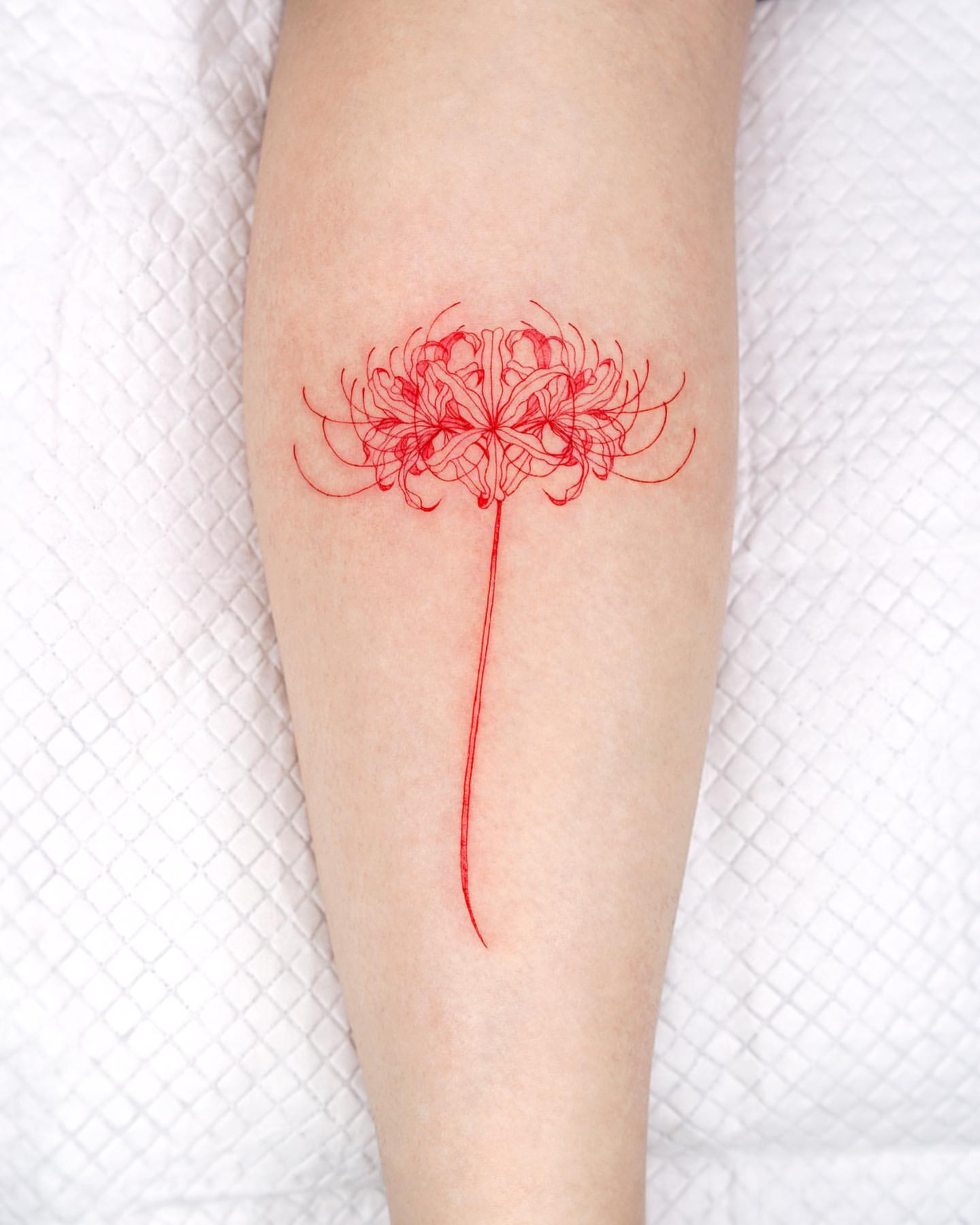 Spider Lily Tattoo Ideas 5