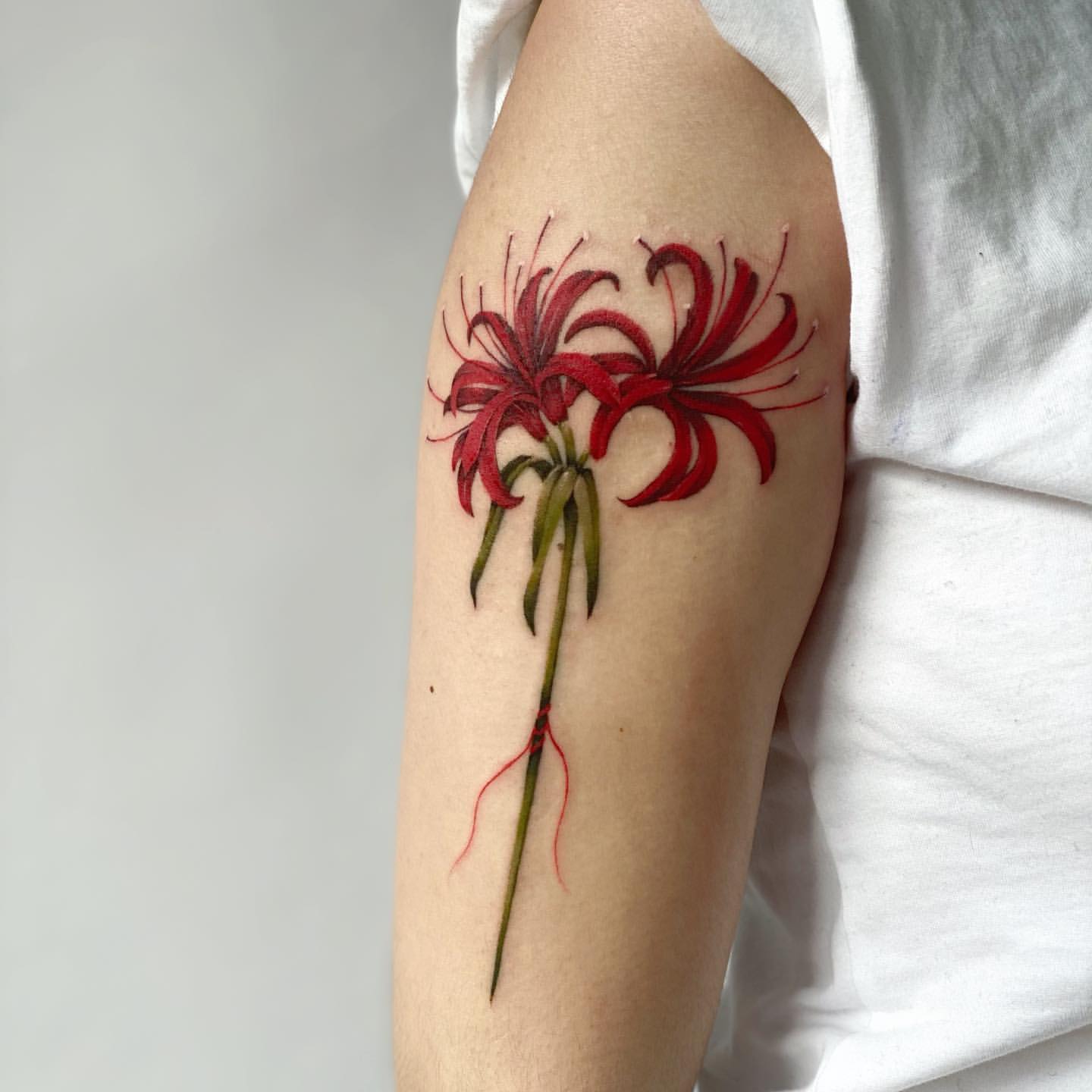 Spider Lily Tattoo Ideas 6