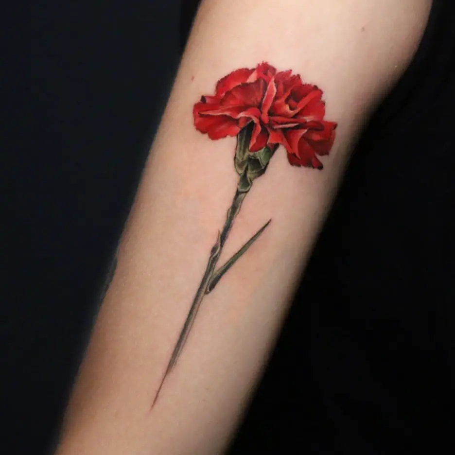 Carnation Tattoo Ideas 20