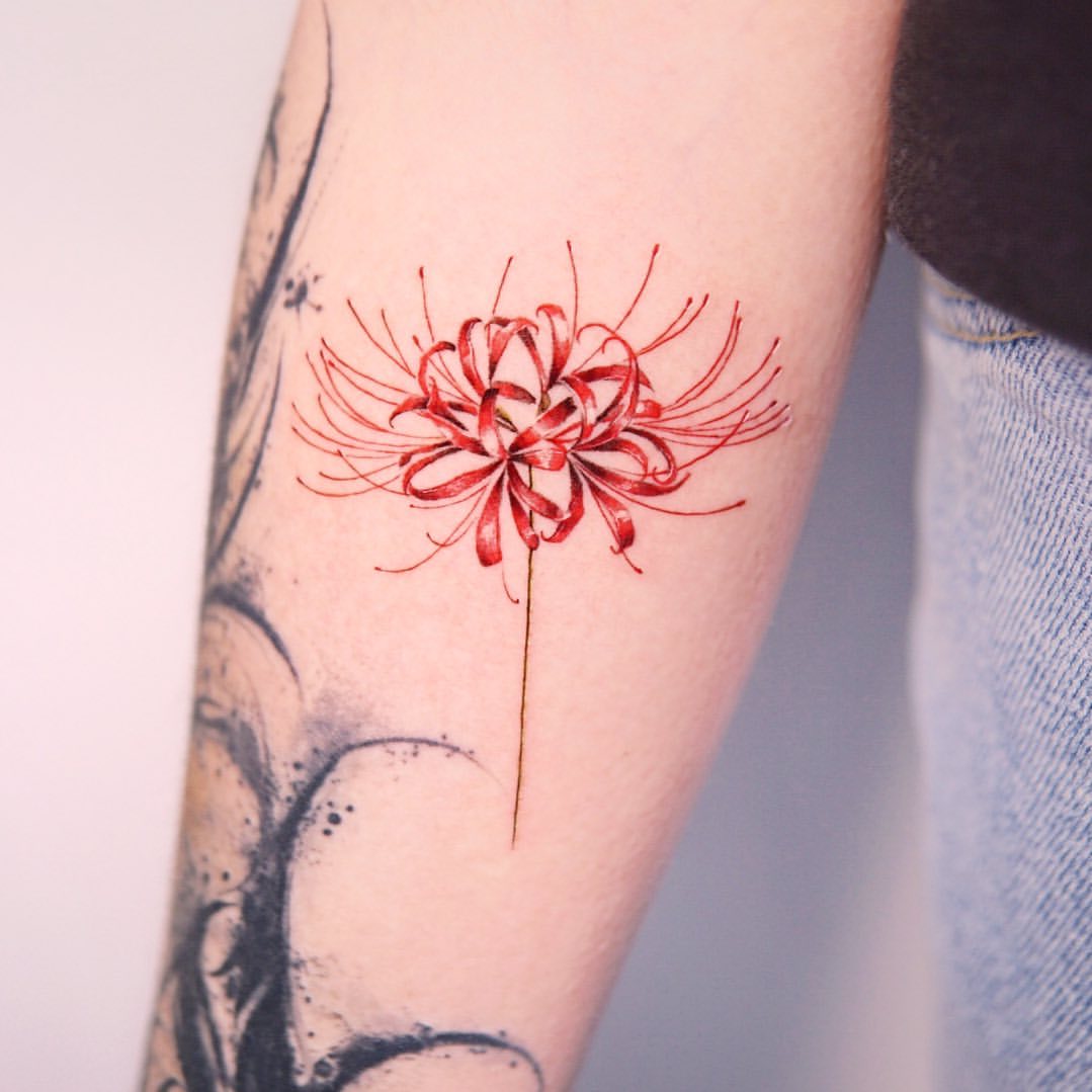 Spider Lily Tattoo Ideas 12