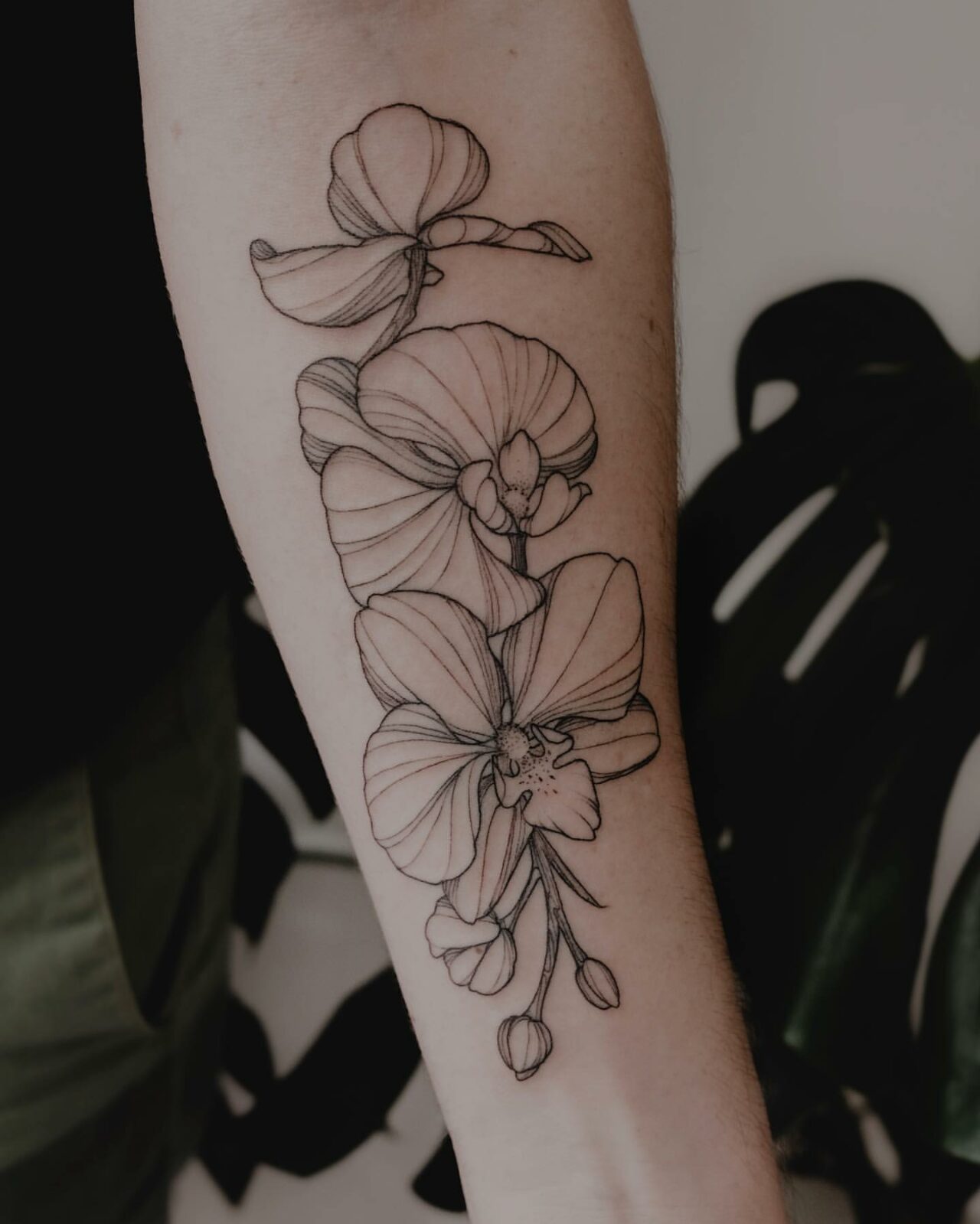 33 Gorgeous Orchid Tattoo Ideas to Inspire You in 2023