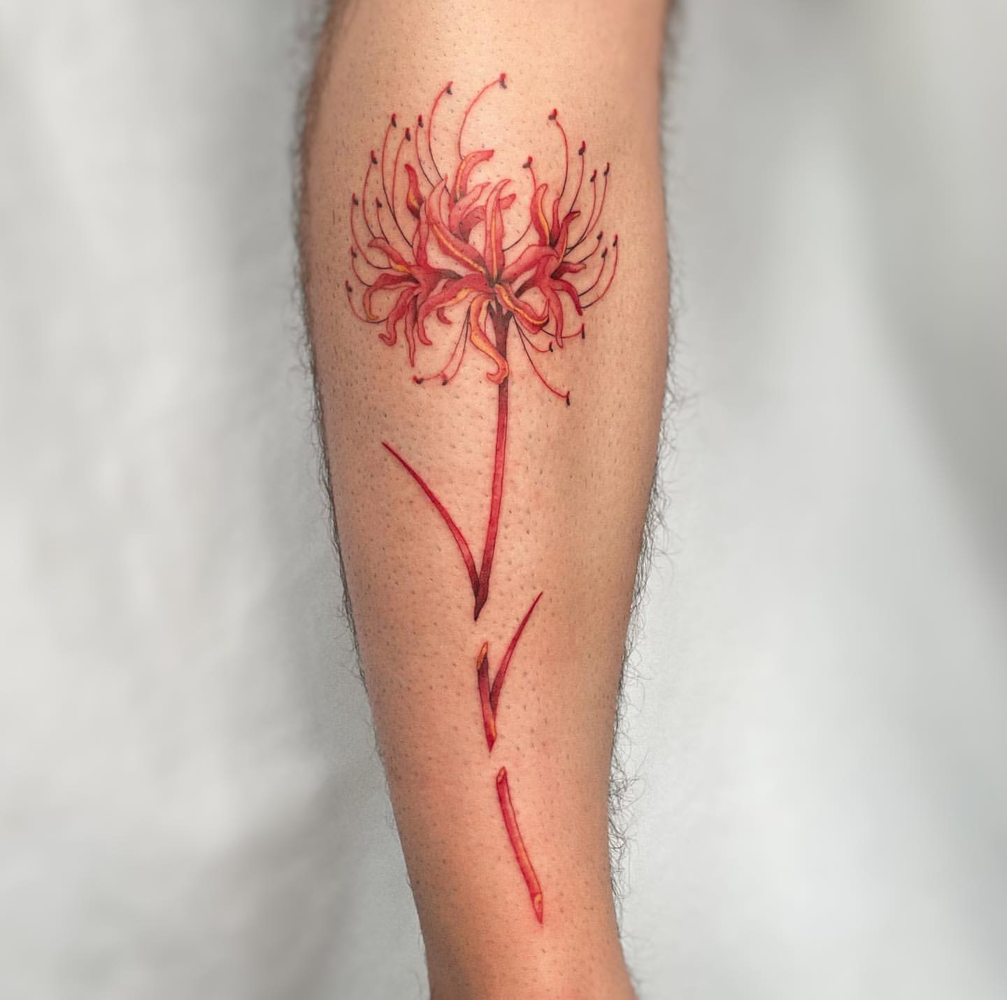 Spider Lily Tattoo Ideas 22