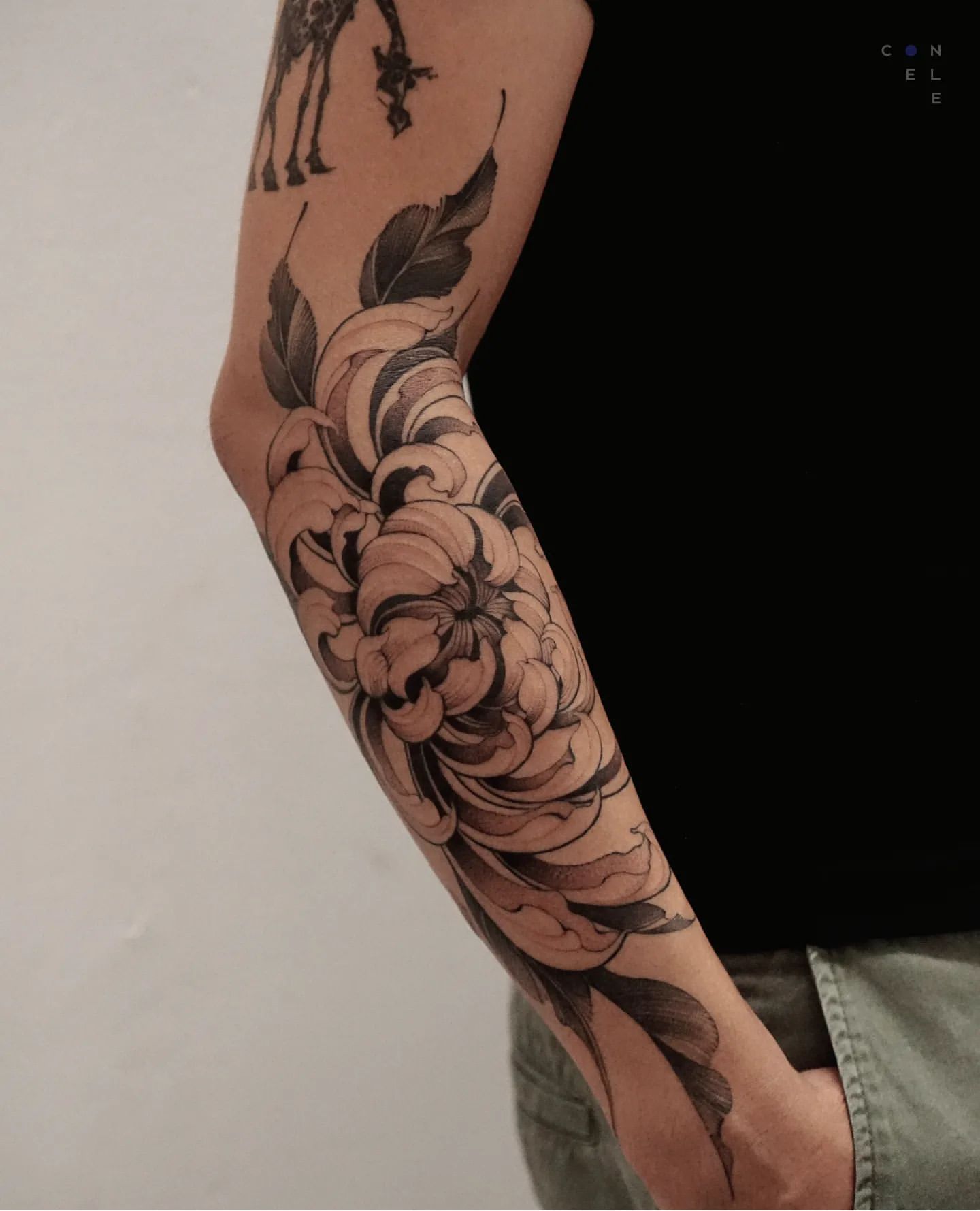 Chrysanthemum Tattoo Ideas 4