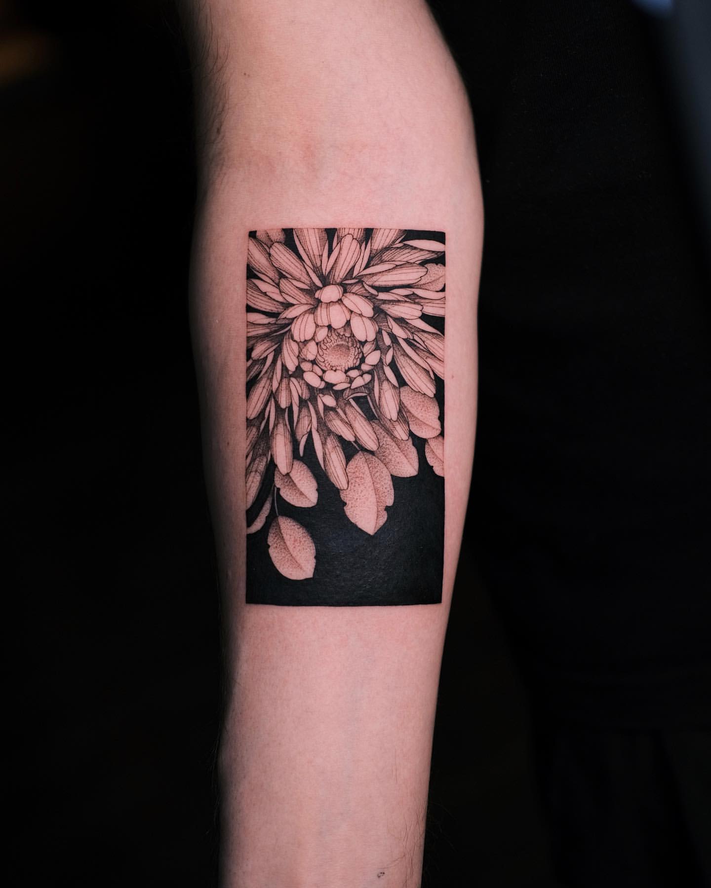 Chrysanthemum Tattoo Ideas 7