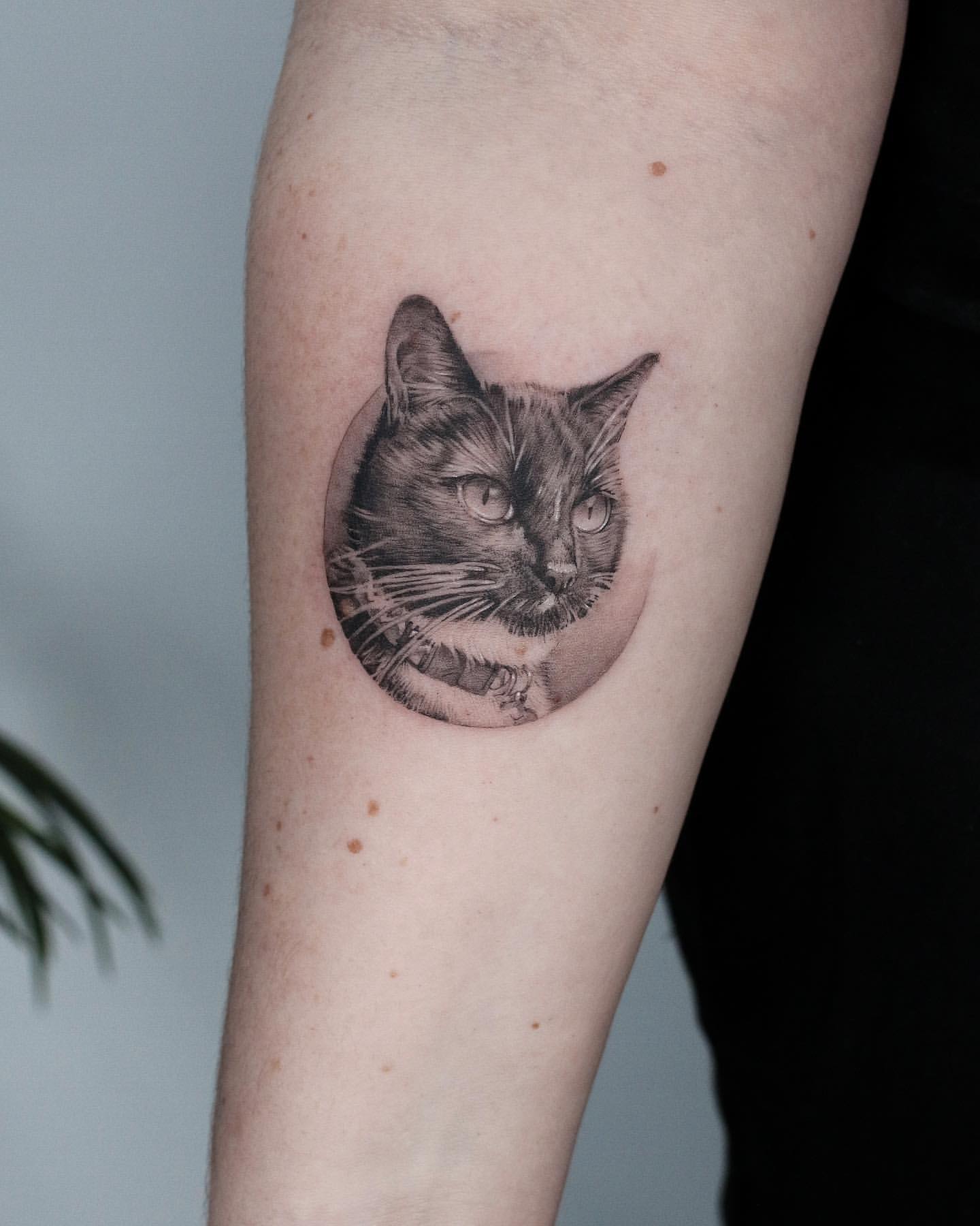 Black Cat Tattoo Ideas 13