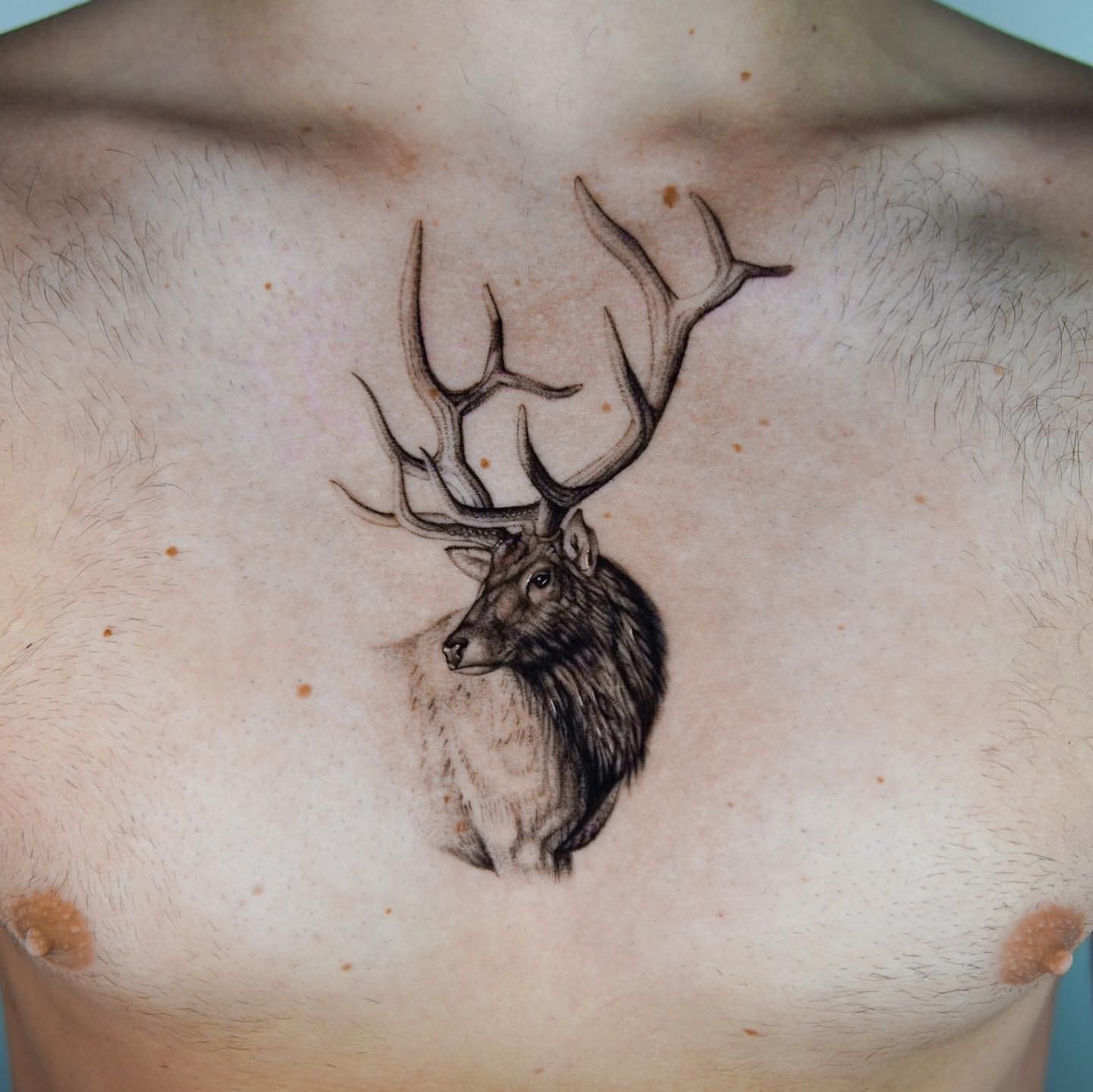 Chest Tattoos Ideas for Men 16