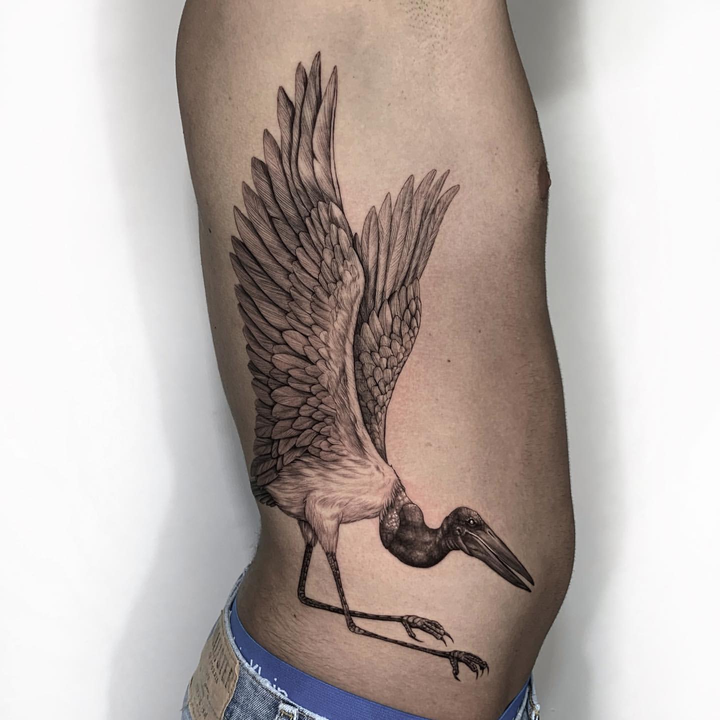 Bird Tattoos for Men 2
