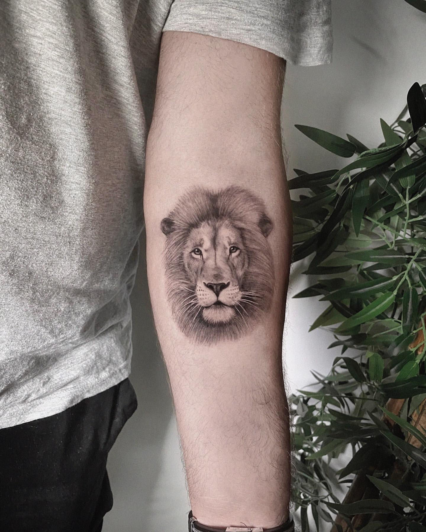 Bold Blue Eyes Lion Tattoo from Tattooinkmaster - Tattoo Shop - Medium