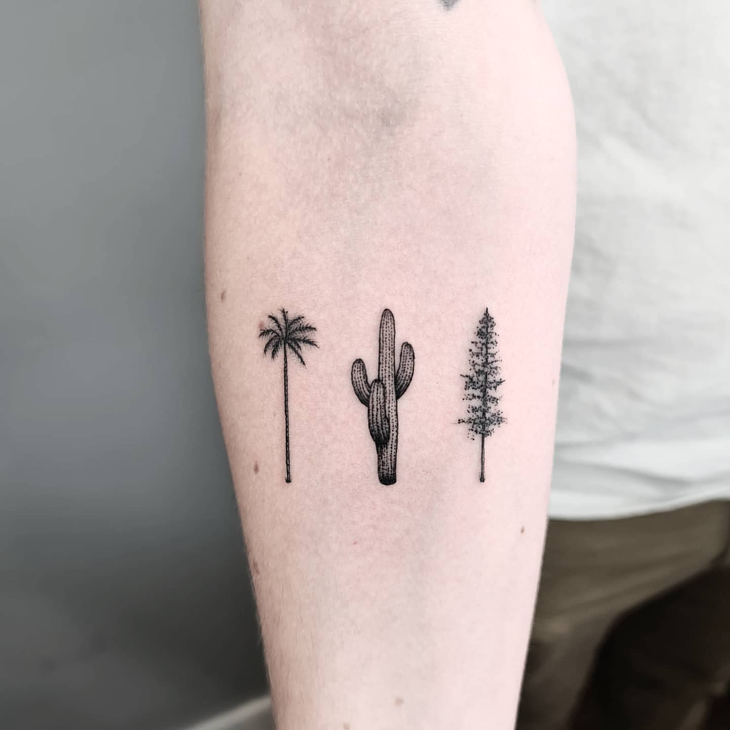 Tree Tattoos for Men 1