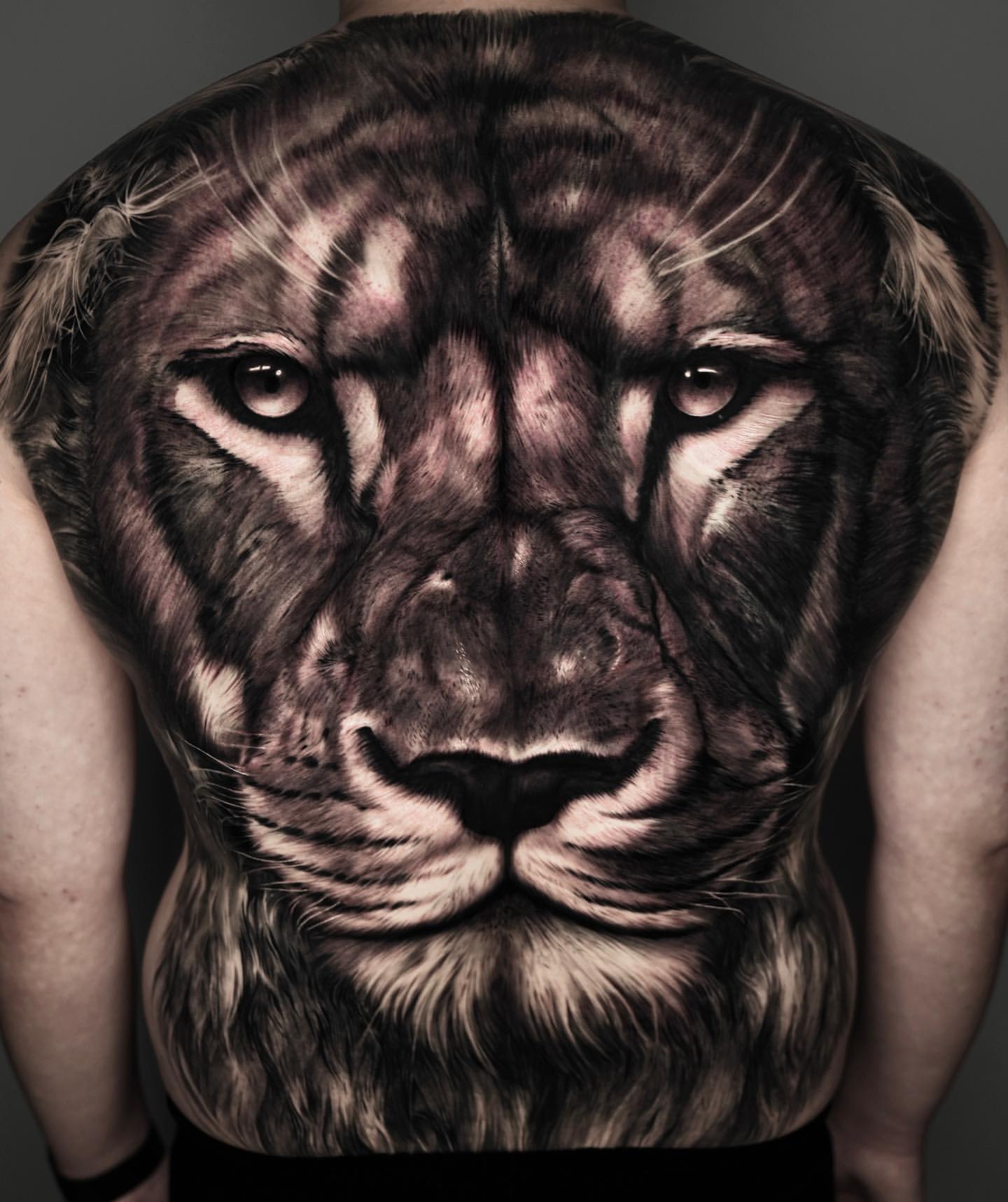 Lion Semi Permanent Tattoo | Long Lasting Temporary Tattoos