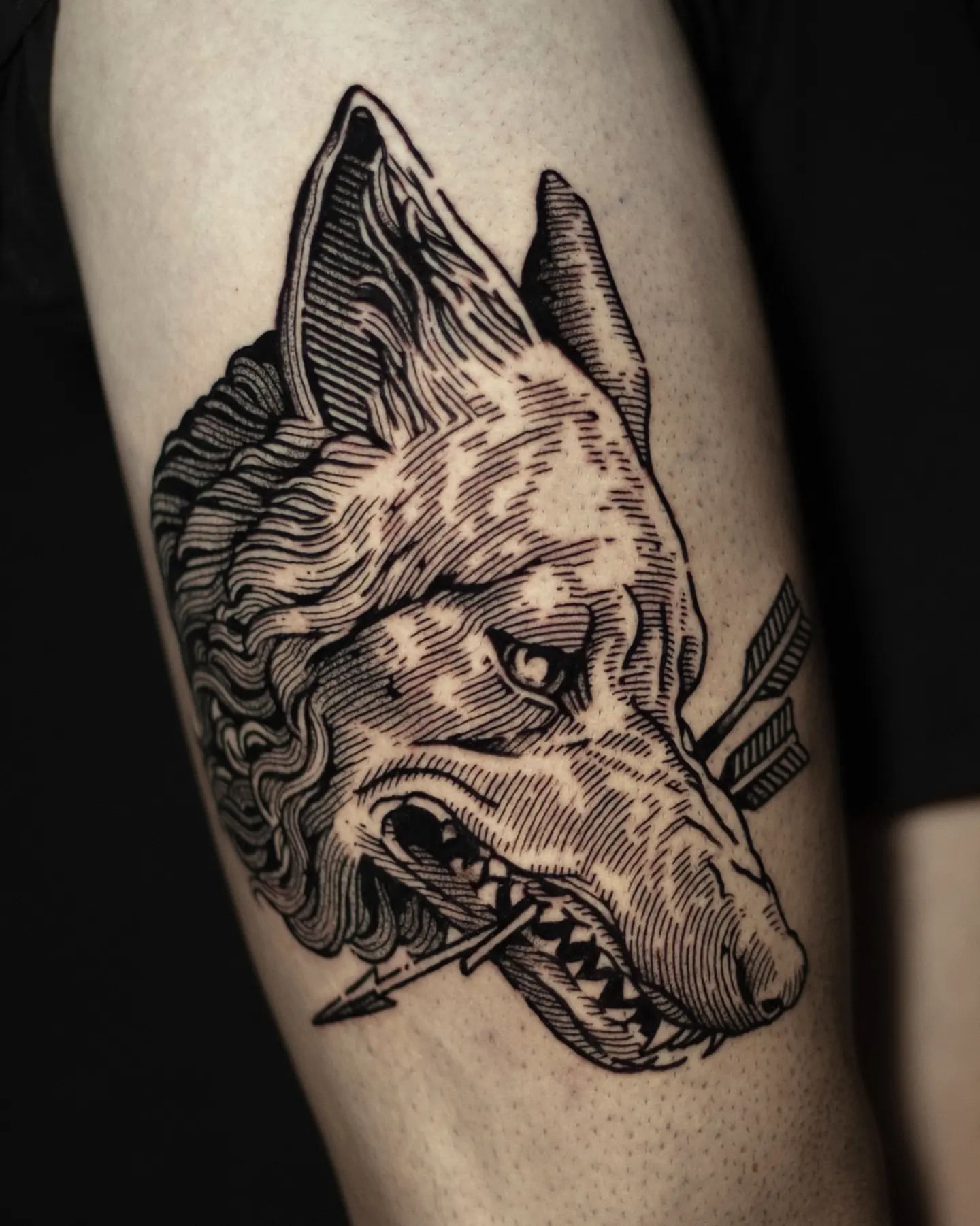 Wolf Tattoos for Men 27