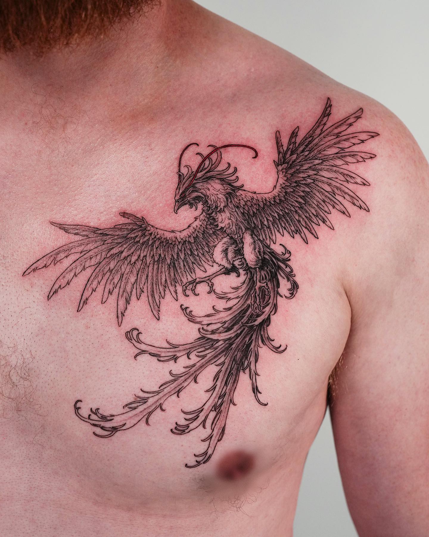 Bird Tattoos for Men 24