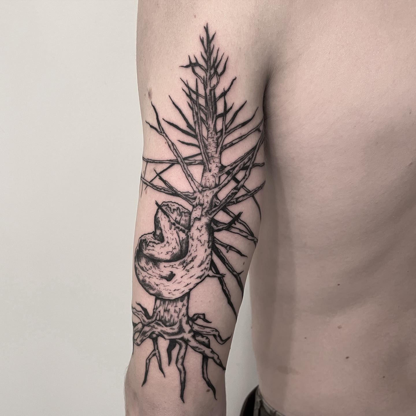 Tree Tattoos for Men 26