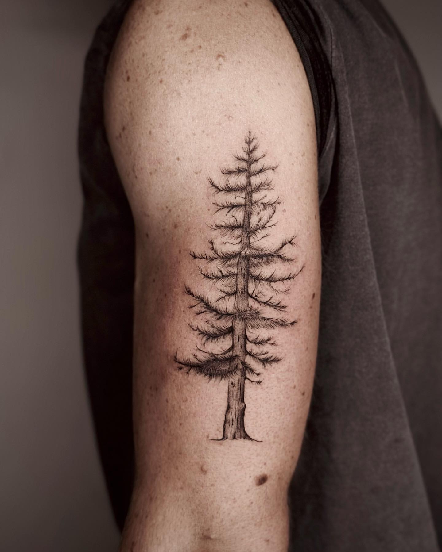Tree Tattoos for Men 29