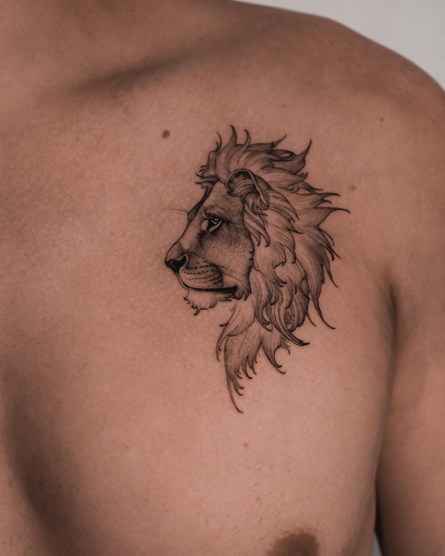 Lion Tattoos for Men 32